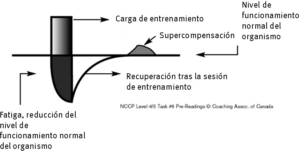 Apto para jugar y rendir (Fit to Play™ & Perform) -reglas de recuperación (1a parte)