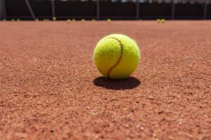 TS WINNER tennis clay court