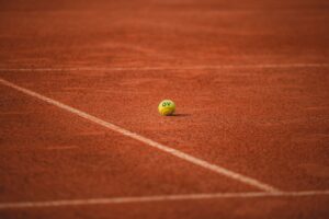 TS WINNER tennis clay court
